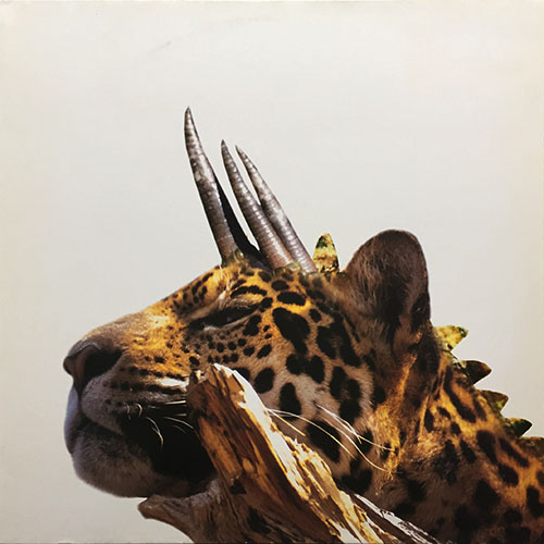 中古レコード